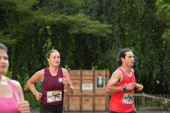 Gross-DSC02117-Kopie