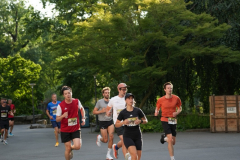 Gross-DSC02171-Kopie