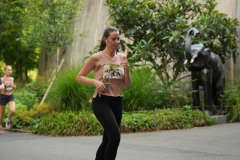 Gross-DSC02254-Kopie