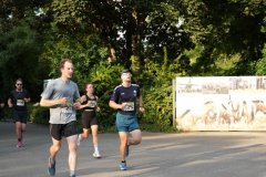 Gross-DSC02348-Kopie